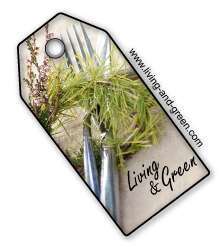 Living & Green cook the taste of nature